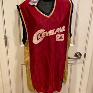 NWT Vintage Cleveland Cavaliers  LeBron James jersey SZ L